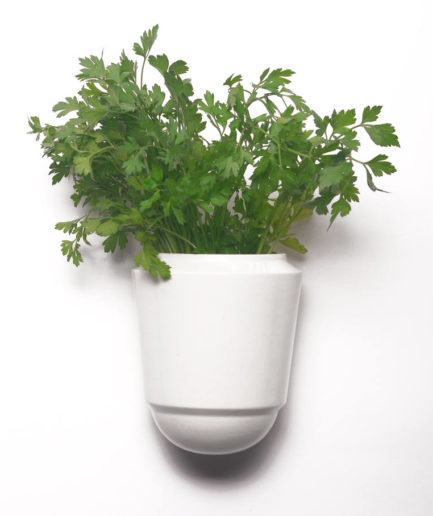 Wandpot Herba voor verse kruiden, wit